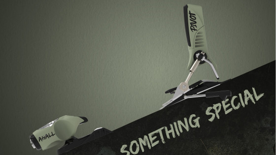  Photo des fixations Alex Hall Signature sur fond vert/gris 